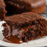 Fudge Chocolate Pudding Cake